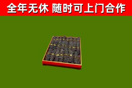 衢州回收海参